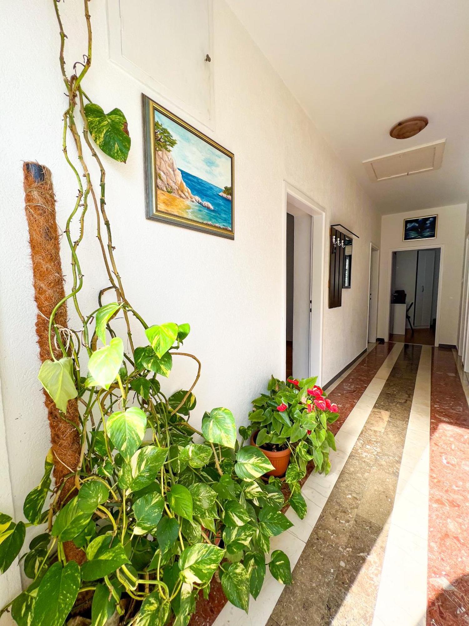 Apartment Bava Dubrovnik Kültér fotó