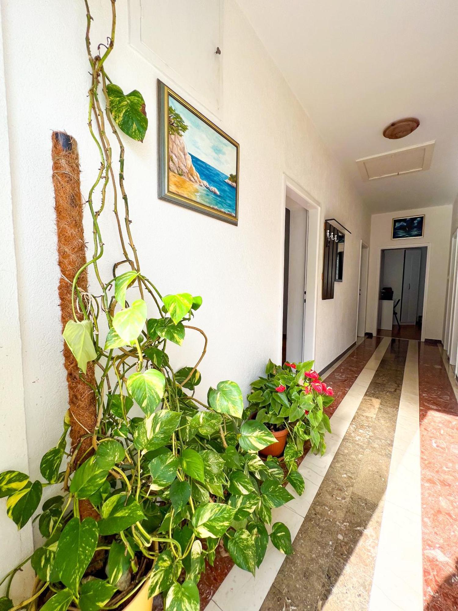 Apartment Bava Dubrovnik Kültér fotó